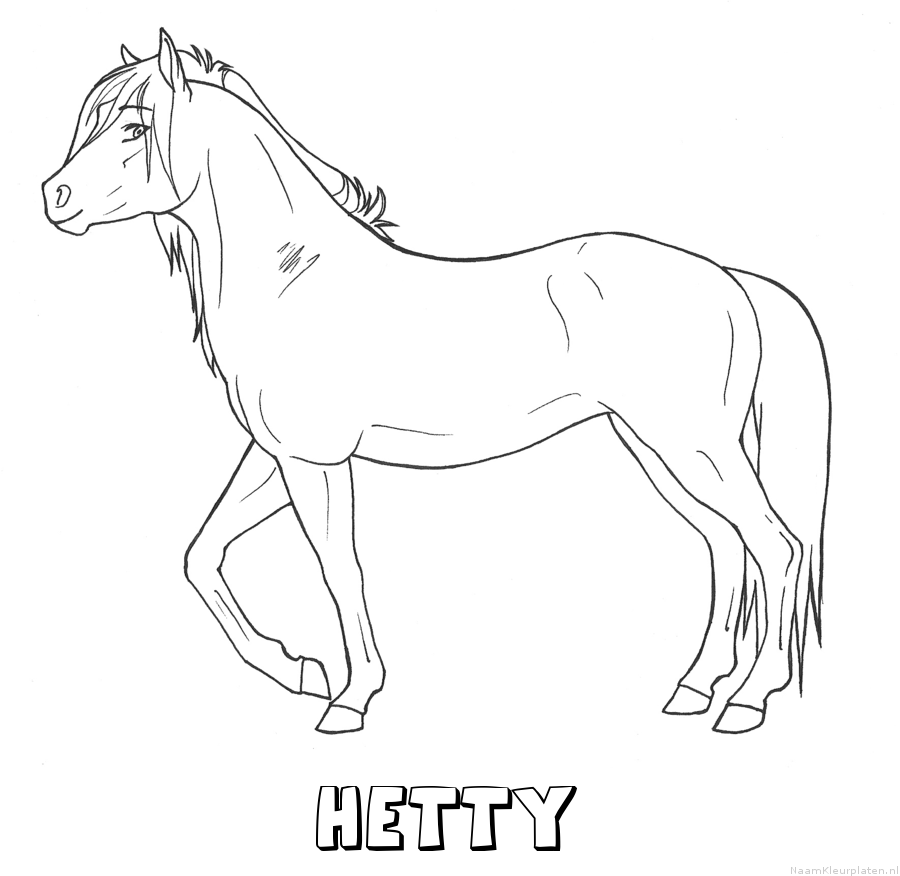 Hetty paard