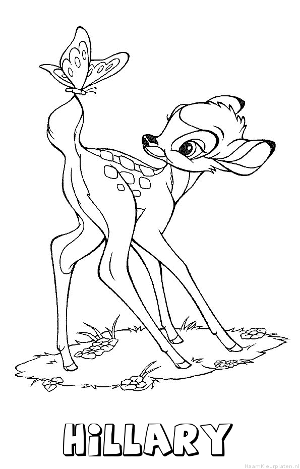 Hillary bambi