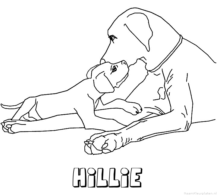 Hillie hond puppy kleurplaat
