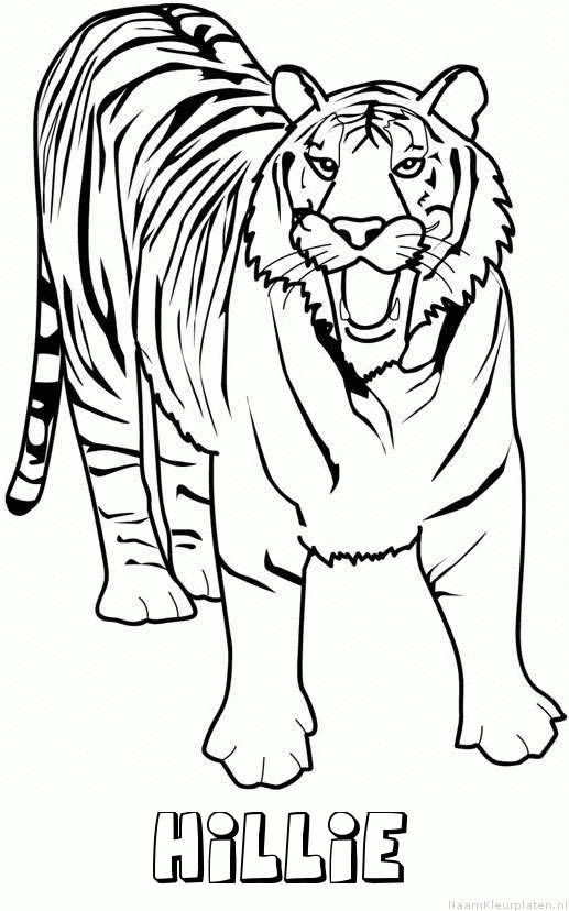 Hillie tijger 2 kleurplaat