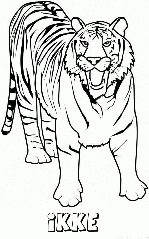 Ikke tijger 2