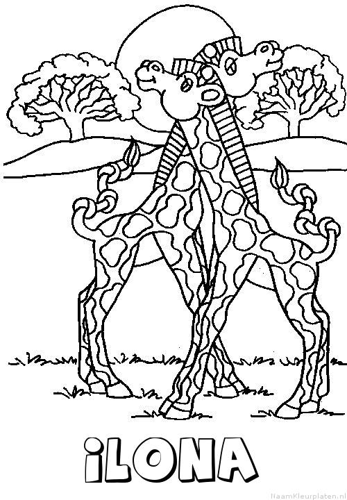 Ilona giraffe koppel