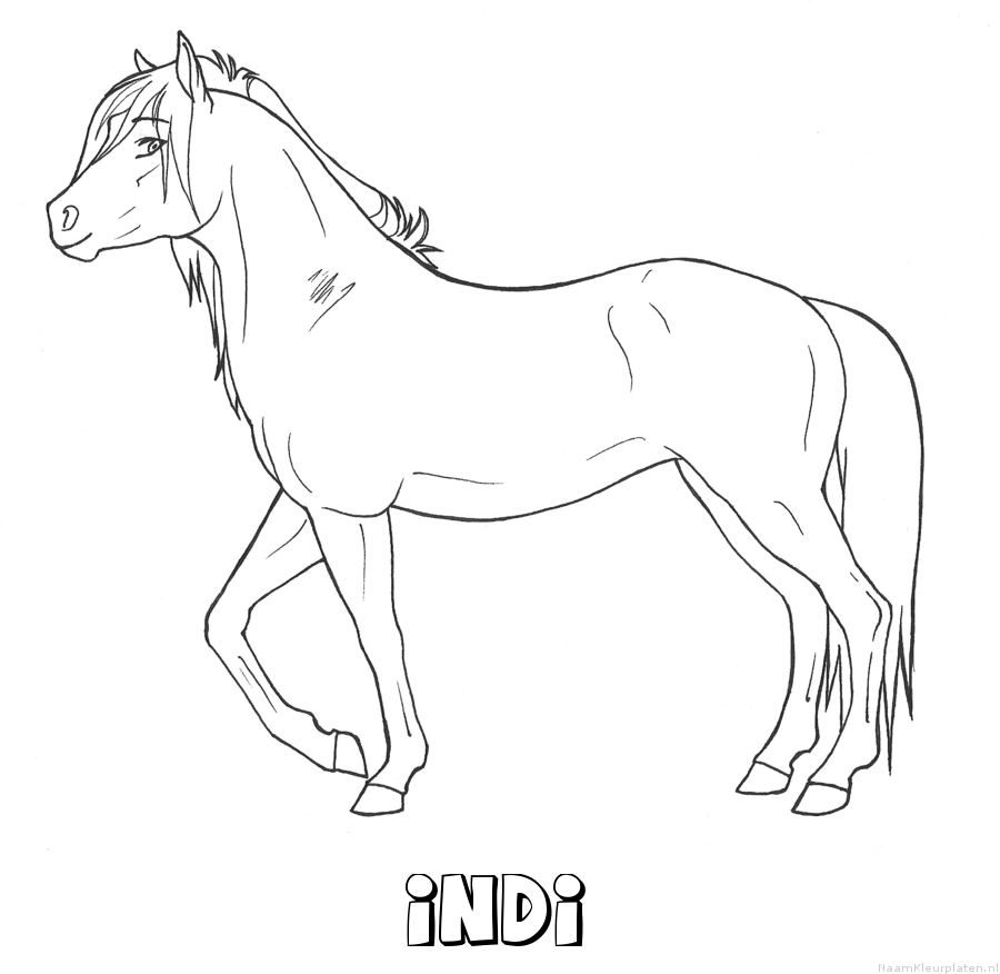 Indi paard kleurplaat