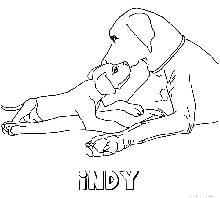Indy hond puppy kleurplaat