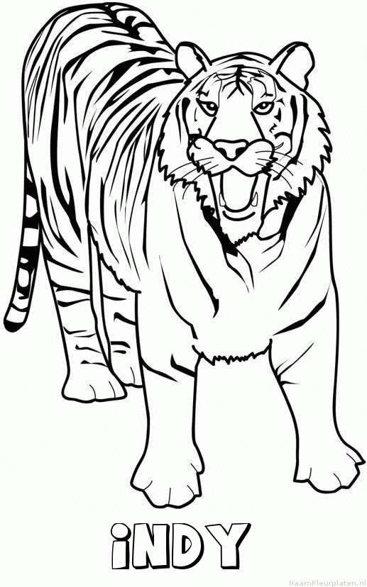 Indy tijger 2 kleurplaat