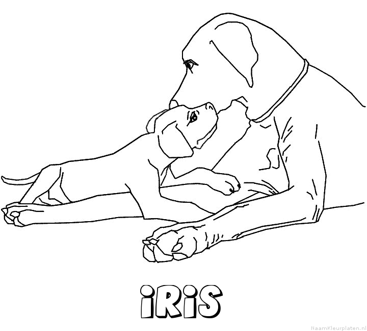 Iris hond puppy kleurplaat