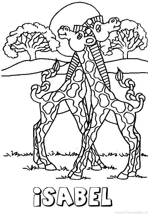 Isabel giraffe koppel