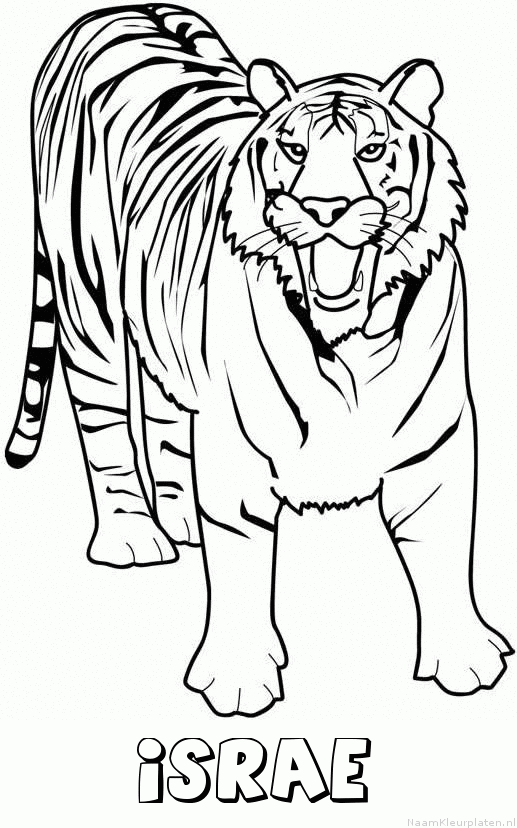 Israe tijger 2 kleurplaat