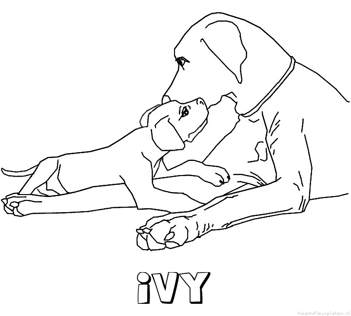 Ivy hond puppy kleurplaat