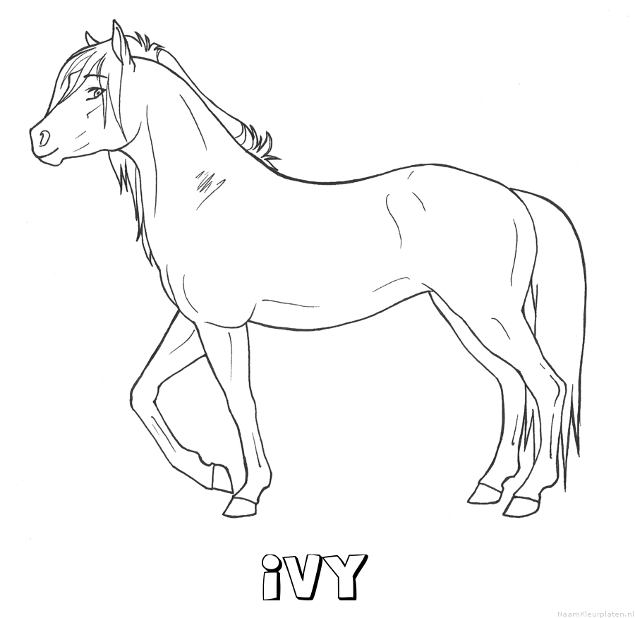 Ivy paard