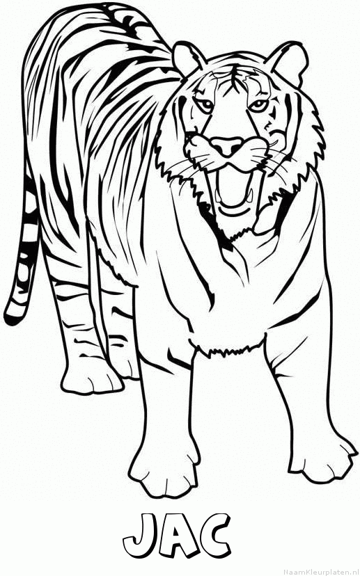 Jac tijger 2 kleurplaat