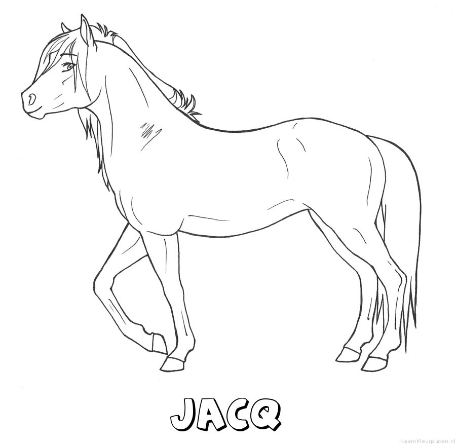 Jacq paard kleurplaat