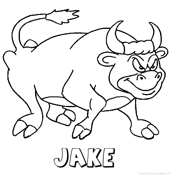 Jake stier