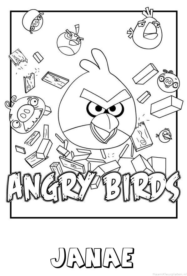 Janae angry birds