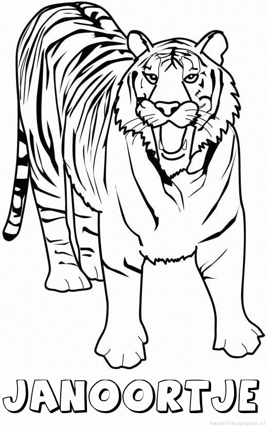 Janoortje tijger 2