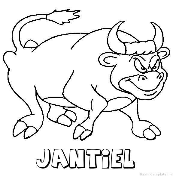 Jantiel stier