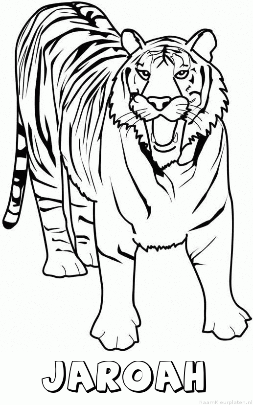 Jaroah tijger 2