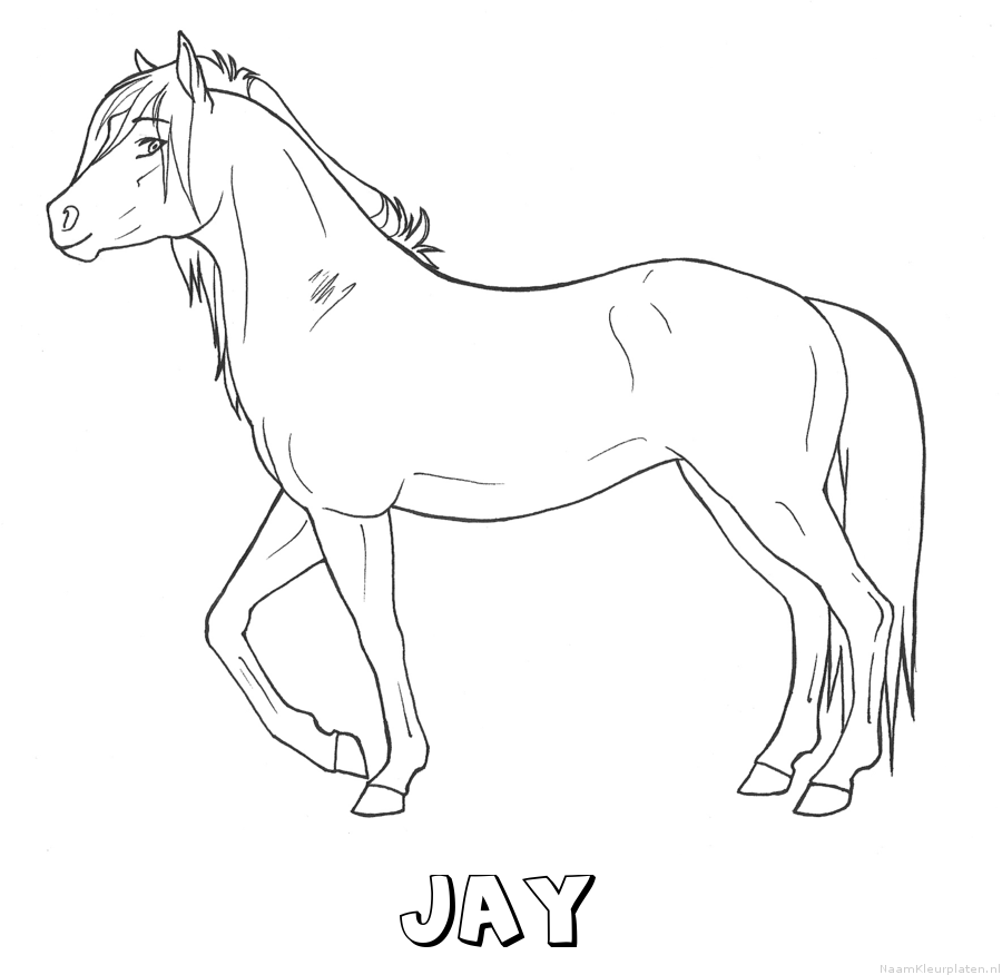 Jay paard kleurplaat