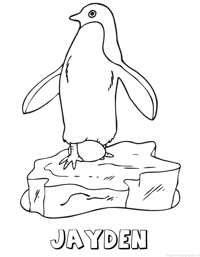Jayden pinguin