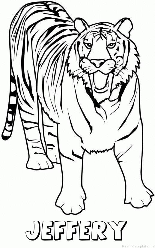 Jeffery tijger 2
