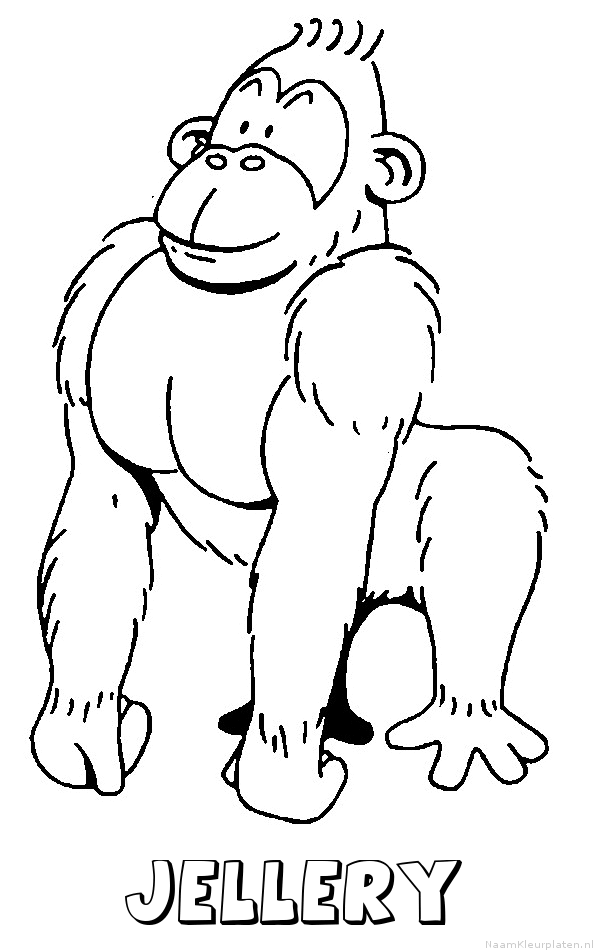Jellery aap gorilla