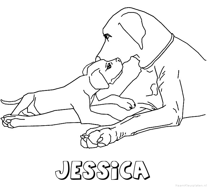 Jessica hond puppy