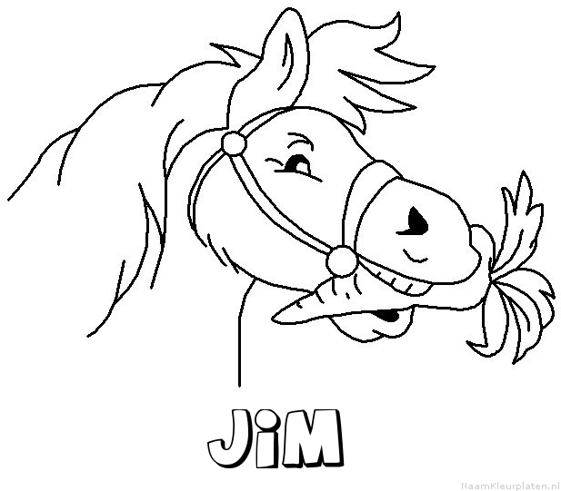 Jim paard van sinterklaas kleurplaat