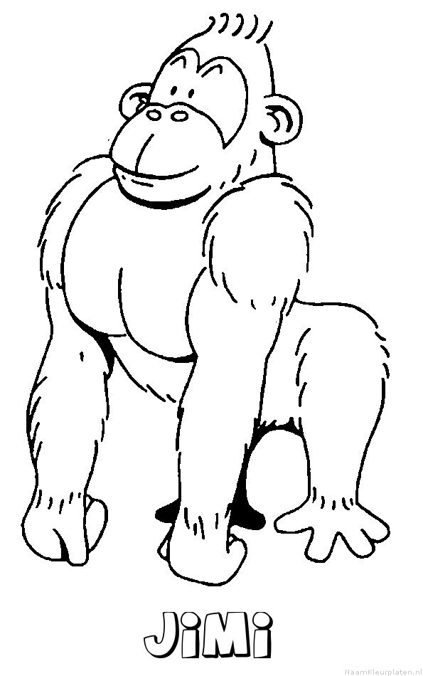 Jimi aap gorilla