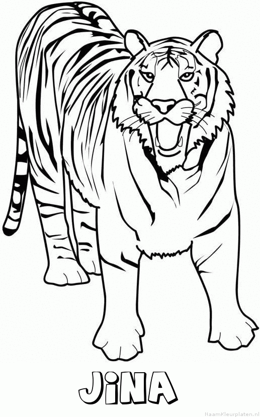 Jina tijger 2