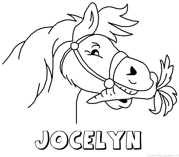 Jocelyn paard van sinterklaas