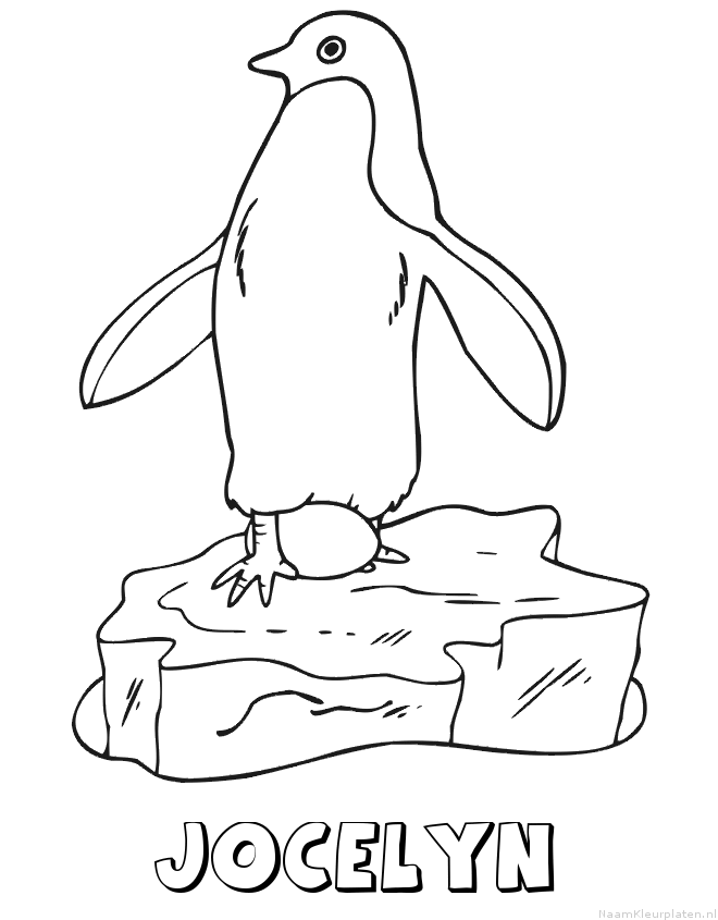 Jocelyn pinguin