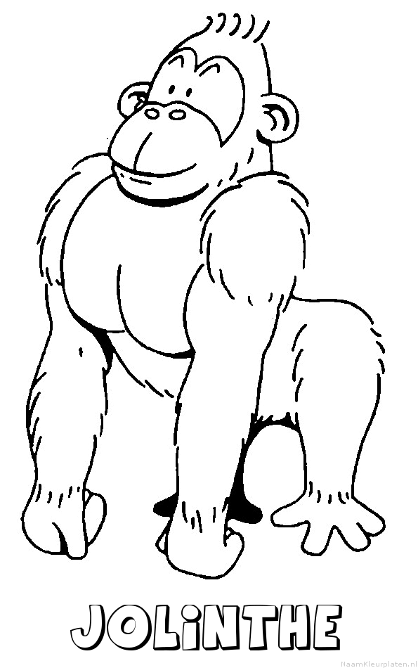 Jolinthe aap gorilla