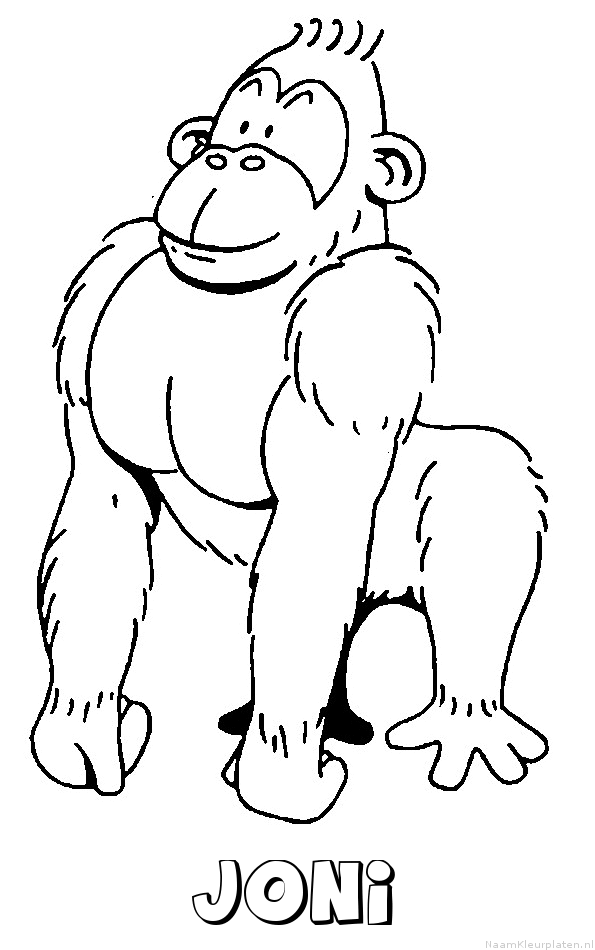 Joni aap gorilla