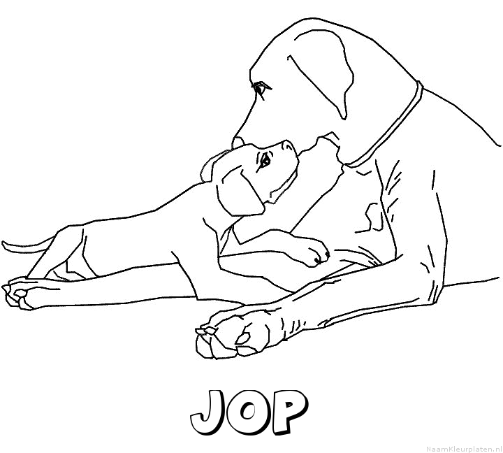 Jop hond puppy
