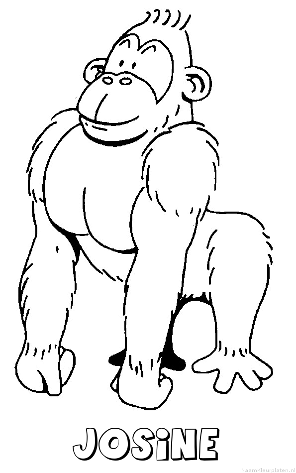 Josine aap gorilla