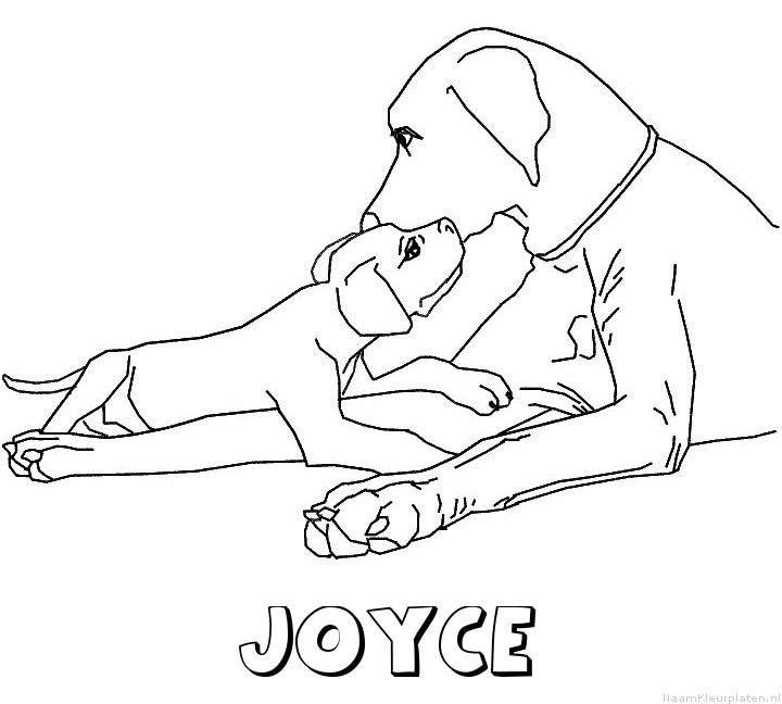 Joyce hond puppy