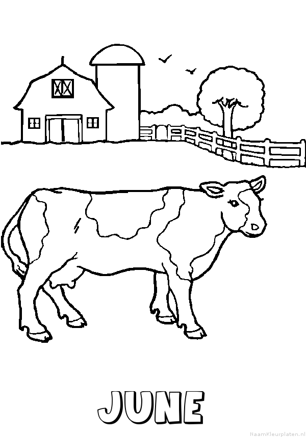 June koe kleurplaat