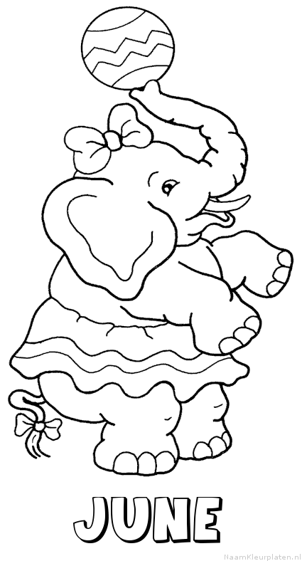 June olifant