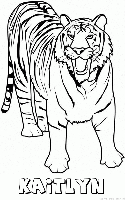 Kaitlyn tijger 2 kleurplaat