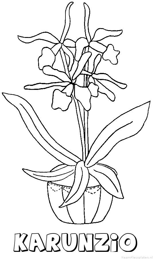 Karunzio bloemen