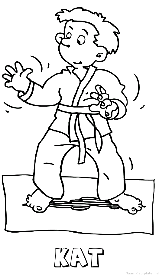 Kat judo kleurplaat