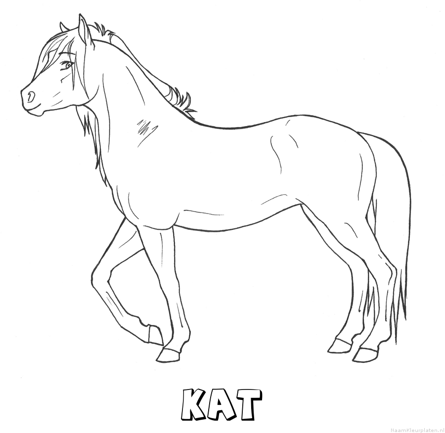 Kat paard kleurplaat