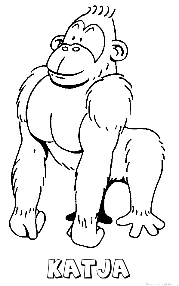 Katja aap gorilla
