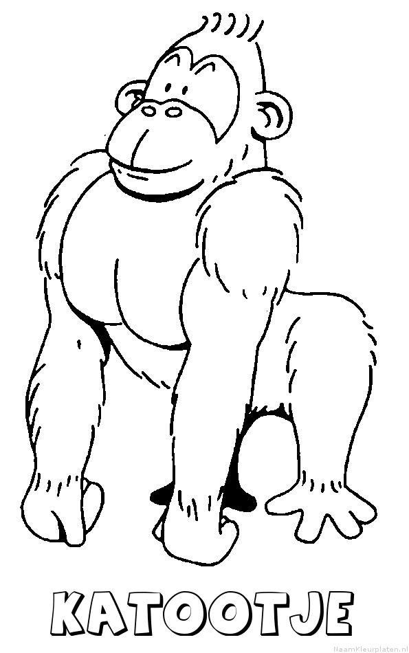 Katootje aap gorilla