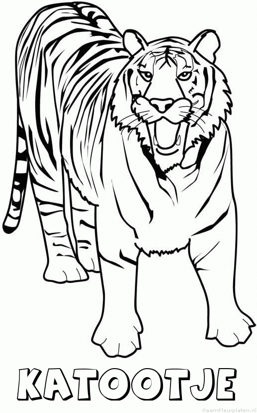 Katootje tijger 2 kleurplaat