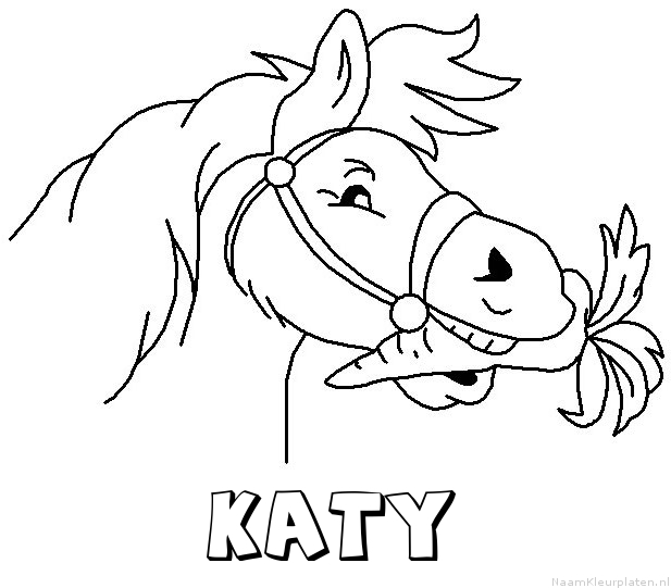 Katy paard van sinterklaas