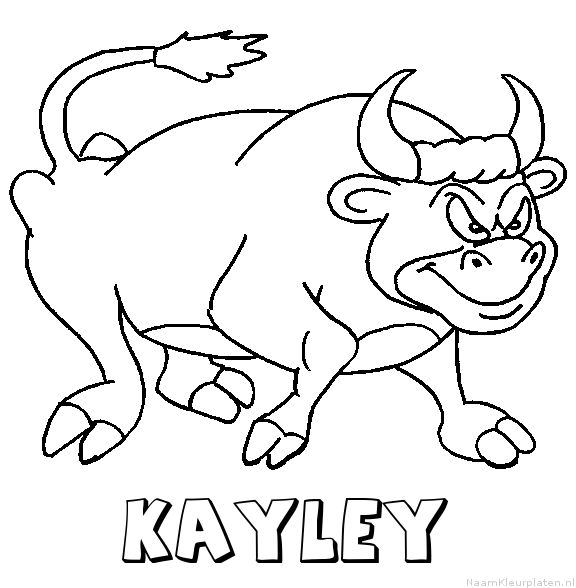 Kayley stier