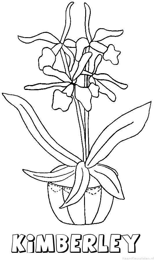 Kimberley bloemen kleurplaat