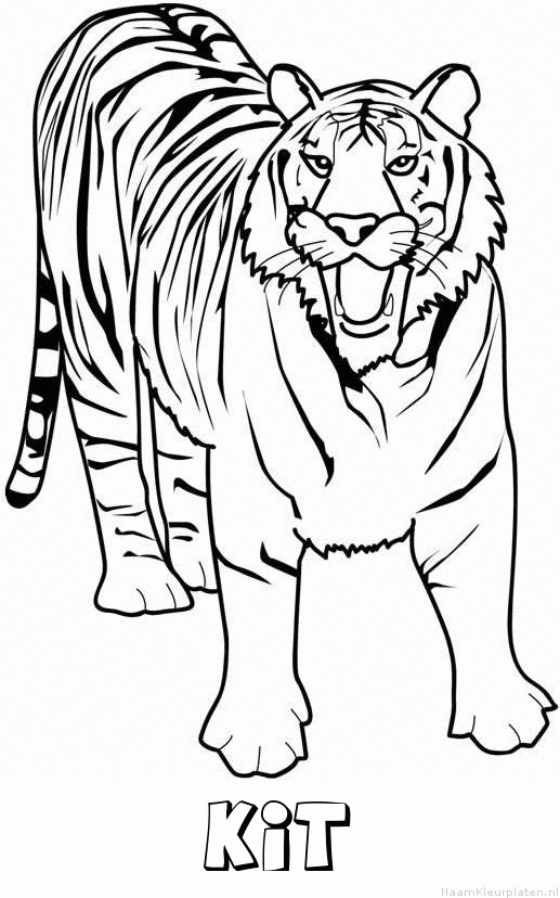 Kit tijger 2 kleurplaat