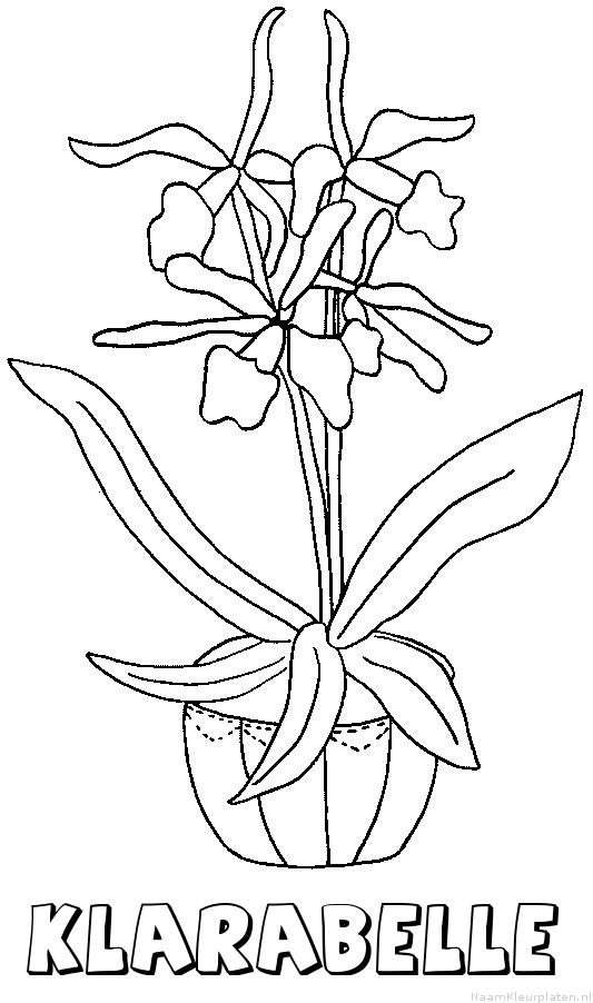 Klarabelle bloemen